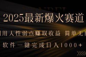 （15675期）2025最新爆火赛道，利用人生弱点赚取收益，全程一键批量制作，小白轻松…-麦资源网