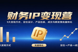 财务IP变现营：9大变现方式、定位设计、产品包装，成交与群发售批量转化-麦资源网