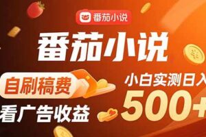 （15641期）稳定3年官方番茄小说自刷稿费小白单日500+-麦资源网