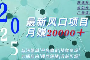 （15694期）2025广告赛道新风口-月赚2W＋玩法简单，时间自由-麦资源网