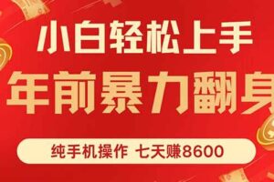 （16080期）七天狂赚8600，小白纯手机操作，日入1000+-麦资源网