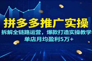 拼多多推广实操，拆解全链路运营，爆款打造实操教学，单店月均盈利5万+-麦资源网