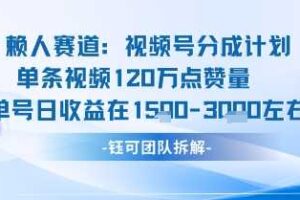 视频号分成计划新赛道玩法，单条收益突破了120W，综合收益在3k上下-麦资源网