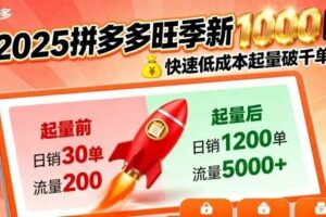 2025拼多多旺季新老店铺——快速低成本起量破千单-麦资源网