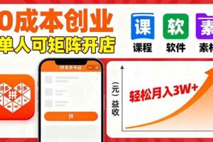 （16047期）拼多多虚拟电商，0成本，单人可矩阵开店，轻松月入3W+-麦资源网