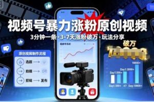 视频号暴力涨粉原创视频，3分钟一条原创视频，3-7天涨粉破万，玩法分享给你-麦资源网