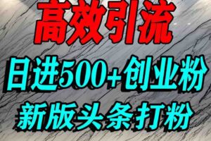 今日头条打创业粉，一篇文章就能引流几百个精准创业粉，日进500+精准流量-麦资源网