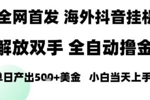 海外抖音无人直播，单日产出1.5k+，长期稳定，新手可玩，无脑操作【揭秘】-麦资源网