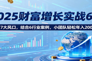 2025财富增长实战6.0，聚焦7大风口，结合6行业案例，小团队轻松年入200万！-麦资源网