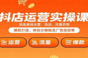 抖店运营实操课：涵盖基础设置、选品、流量获取、爆款打造、体验分维稳及广告投放等-麦资源网