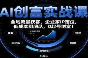 AI创富实战课：企业家IP定位，全域流量获客，低成本组团队，0起号创富！-麦资源网