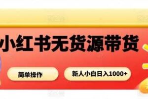 小红书无货源带货项目，简单无脑，新人小白日入多张-麦资源网