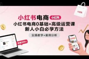 小红书电商0基础+高级运营课，新人小白必学方法，实操教学+案例分析-麦资源网