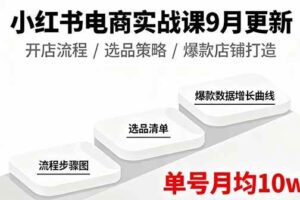（16120期）小红书电商实战课9月更新，开店流程/选品策略/爆款店铺打造，单号月均10w+-麦资源网