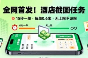 全网首发！酒店截图任务，15秒一单，每单0.6米，任务无上限不设限，矩阵操作单日3张到手【揭秘】-麦资源网