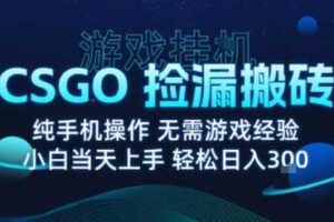8月最新游戏搬砖，CSGO纯挂G，不需要玩游戏，实现真挂G，月入1W+【揭秘】-麦资源网