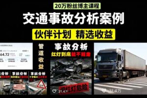 （15995期）交通事故分析案例短视频，剪辑技巧+文案模板+配音教学+快速起号 月收益2w+-麦资源网