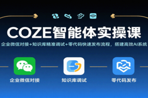 COZE智能体实操课，企业微信对接+知识库精准调试+零代码快速发布流程，搭建高效AI系统-麦资源网