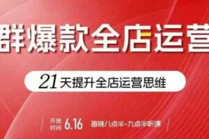 贾真电商群爆款全店运营，21天提升全店运营思维，起店、全店运营爆款不断-麦资源网