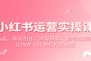 小红书运营实操课：选品、笔记创作、流量获取、起号变现等，让你在小红书轻松获收益-麦资源网