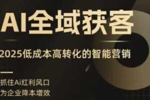 AI全域获客实训营，2025低成本高转化的智能营销，精准找客，高效营销-麦资源网