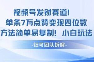 视频号发财赛道单条7W点赞变现四位数方法简单易复制小白玩法-麦资源网
