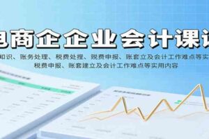 电商企业会计课：基础知识、账务处理、税费申报、账套建立及会计工作难点等实用内容-麦资源网