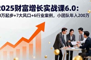 （16004期）2025财富增长实战课6.0：10万起步+7大风口+6行业案例，小团队年入200万-麦资源网