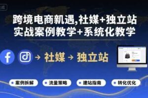 跨境电商新机遇，社媒+独立站，实战案例教学+系统化教学-麦资源网