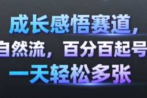 成长感悟赛道,纯自然流,百分百起号率 一天轻松多张-麦资源网