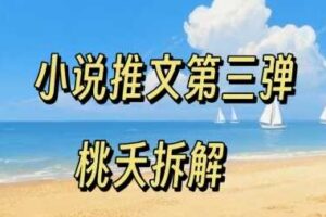 小说推文项目操作全流程第三弹，0粉就能做，门槛低非常适合新手-麦资源网