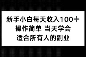 (15937期)新手小白每天收入100+,操作简单 当天学会 ,适合所有人的副业-麦资源网