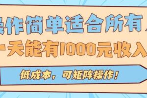 （15910期）操作简单适合所有人全自动挂机项目，一天能有1000元收入，低成本，可矩…-麦资源网