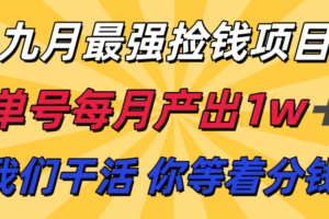 九月最强捡钱项目！ 支付宝分成代运营，我们干活，你分钱！单号月产1w+-麦资源网