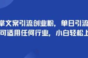 手掌文案引流创业粉，单日引流100+，可适用任何行业，小白轻松上手-麦资源网
