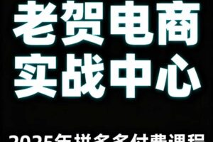 老贺电商2025年拼多多付费课程，用通俗易懂的方法告诉你多多怎么玩-麦资源网