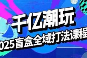2025盲盒全域全套打法课，盲盒起号、选品、话术、私域等-麦资源网