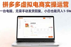 （16138期）拼多多虚拟电商实操运营，一台电脑，无需手动发货回复，小白也能月入1-5W-麦资源网