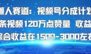 懒人赛道：视频号分成计划单条视频120W点赞量 收益高综合收益在1.5K左右-麦资源网