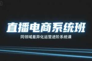 直播电商系统班，同领域差异化运营进阶系统课-麦资源网