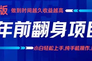 （16017期）年前翻身项目，新手小白月入3w+，纯手机一条龙实操玩法-麦资源网