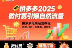 拼多多2025微付赛引爆自然流量，拼多多电商运营教程，运营、推广、打爆品、微付费-麦资源网
