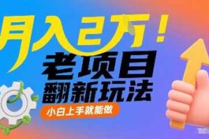 月入2W！老项目翻新玩法，小白上手就能做，非常容易上手-麦资源网