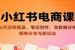 小红书电商课：从开店到选品、笔记创作，含数据分析，爆单分享与新玩法-麦资源网