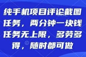 纯手机项目评论截图任务，两分钟一块钱多劳多得，随时随地都能做【揭秘】-麦资源网