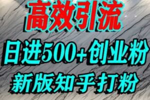 怎么打创业粉，知乎超高权重流量平台，打粉引流，日进500+精准创业粉不是问题-麦资源网