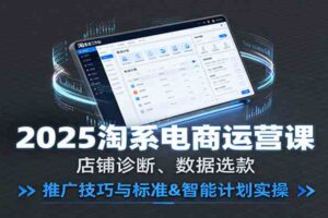 2025淘系电商运营课：店铺诊断、数据选款，推广技巧与标准&智能计划实操-麦资源网
