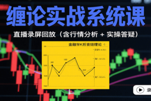 缠论实战系统课:直播录屏回放(含行情分析 + 实操答疑(更新9月)-麦资源网