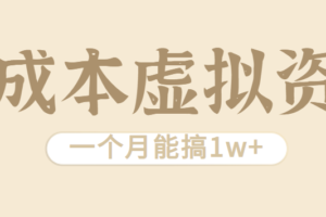 相当暴利的虚拟资源项目，无需成本一个月能搞1w+-麦资源网