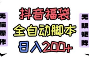 抖音全自动抢福袋项目，蓝海赛道，新手小白一天轻松200+，看完直接可以上手【揭秘】-麦资源网